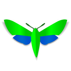 A green and blue paper butterfly with dark-green mustache