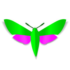 A green and pink paper butterfly with dark green mustache