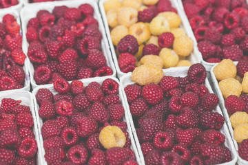 Red and yellow raspberries in boxes at local farm market