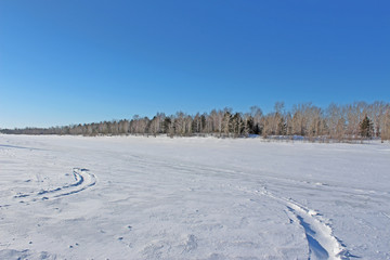 Beautiful snowy forest cold winter in December