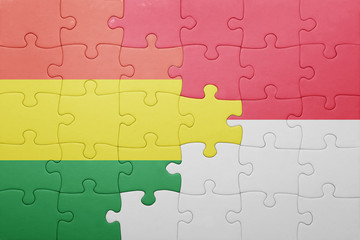 Fototapeta premium puzzle with the national flag of indonesia and bolivia