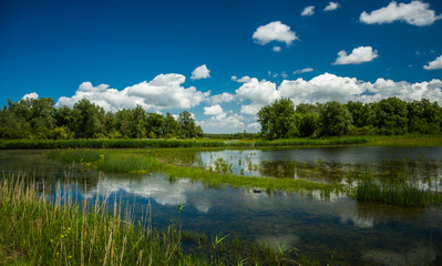 reflecting clouds in a swamp