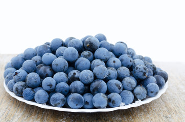 blackthorn plate on a white background