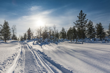 Fototapeta na wymiar Snow Covered Road In Forest