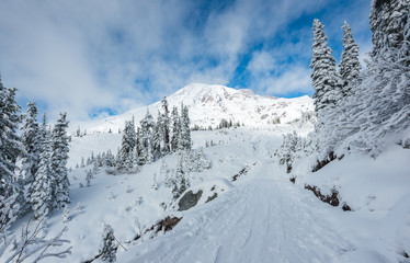 a path cover with snow in paradise area,scenic view of mt Rainier,Washington,USA.