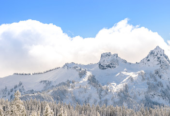 Fototapeta na wymiar scenic view top of the mountain in Paradise area, mt Rainier national park,Washington,USA.