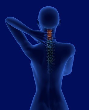 Pain in the neck x-ray scan rear view