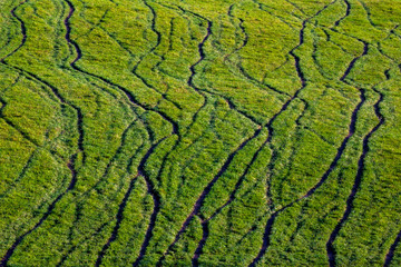 Motorbike tracks