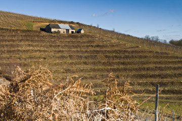 Allassac (Corrèze)
