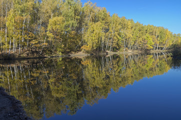 Reflection of trees in the pond.