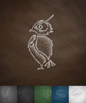 owl icon. Hand drawn vector illustration