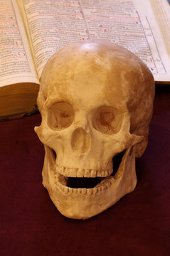 skull book 