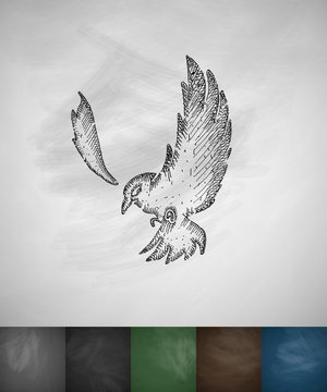 bird icon. Hand drawn vector illustration
