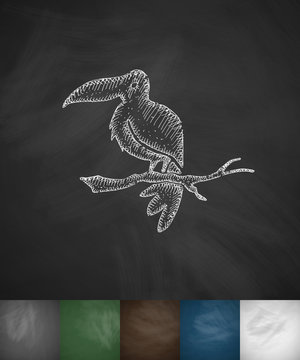 toucan icon. Hand drawn vector illustration