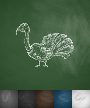 turkey icon. Hand drawn vector illustration