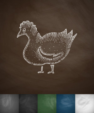 chicken icon. Hand drawn vector illustration