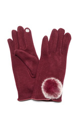 fashionable gloves on a white background