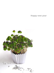Glücksklee im Topf, davor silberfarbenes Konfetti,  mit Schriftzug: Happy new year