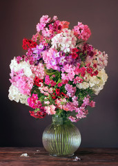 Bouquet from phloxes in a transparent jug.