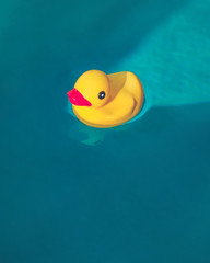 Rubber Ducky in Water