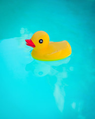 Rubber Ducky in Water