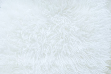 close up of white real sheep skin texture background,Ready for product display montage.
