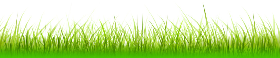 Obraz premium banner gras wiese grafik