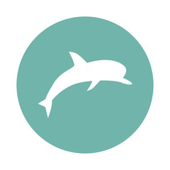 Dolphin icon