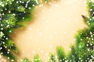 Christmas fir tree branches on paper background