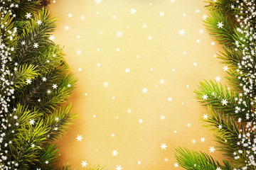 Christmas fir tree branches on paper background