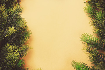 Christmas fir tree branches on paper background