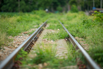 .Railway during the rainy season with green grass