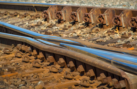 Railroad Tracks Frog