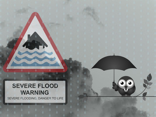 Bird with severe flood warning sign 