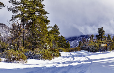 Fototapeta na wymiar Snow Covered Road in Mountains
