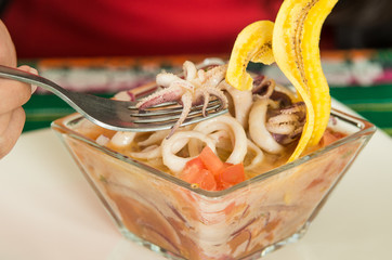Delicious calamari ceviche, typical ecuadorian plate
