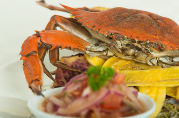 Close up shot of delicious elegant red crab on a plate