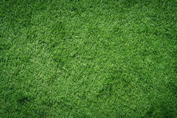 Obraz premium green grass