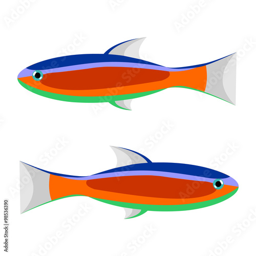 Download "Vector illustration of colorful striped fish, isolated on ...