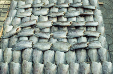 Fish drying in the sunny day, Local food at open market in thailand