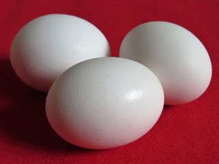 Three Eggs