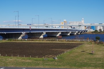 平井大橋