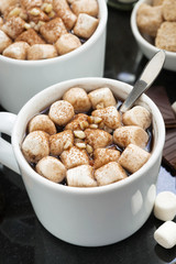 delicious cocoa with marshmallow and cookies, vertical, closeup
