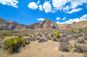 Red rock canyon