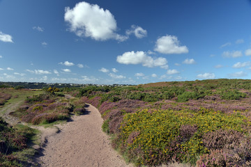 View from Portelet Common of Saint Brelades Bay, Jersey