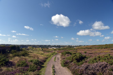 View from Portelet Common of Saint Brelades Bay, Jersey