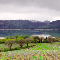 Obraz premium Lake