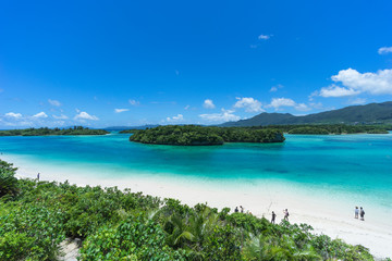 Tropical island beach and clear blue water, Kabira Bay, Ishigaki-jima, Okinawa, Japan - 98542791
