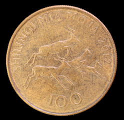 Tail of 100 shillings coin, issued by Tanzania in 2012 depicting four impalas, Aepyceros melampus,...