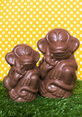 Chocolate monkey on the grass